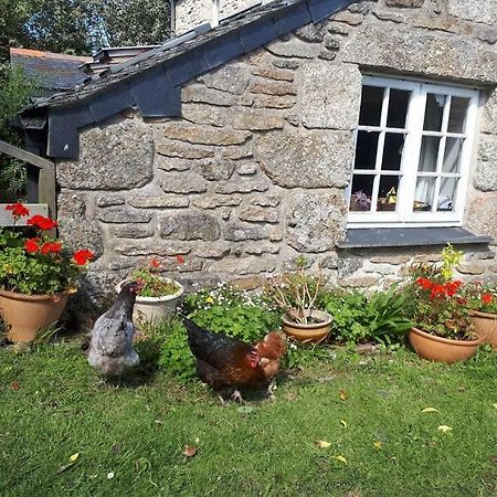 Borea Barn Vegetarian B&B St Ives Eksteriør billede